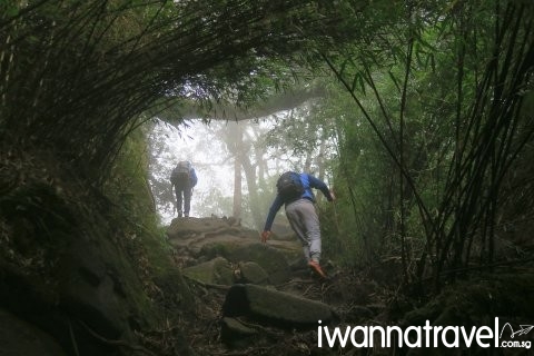 Fansipan climbing outlet tour